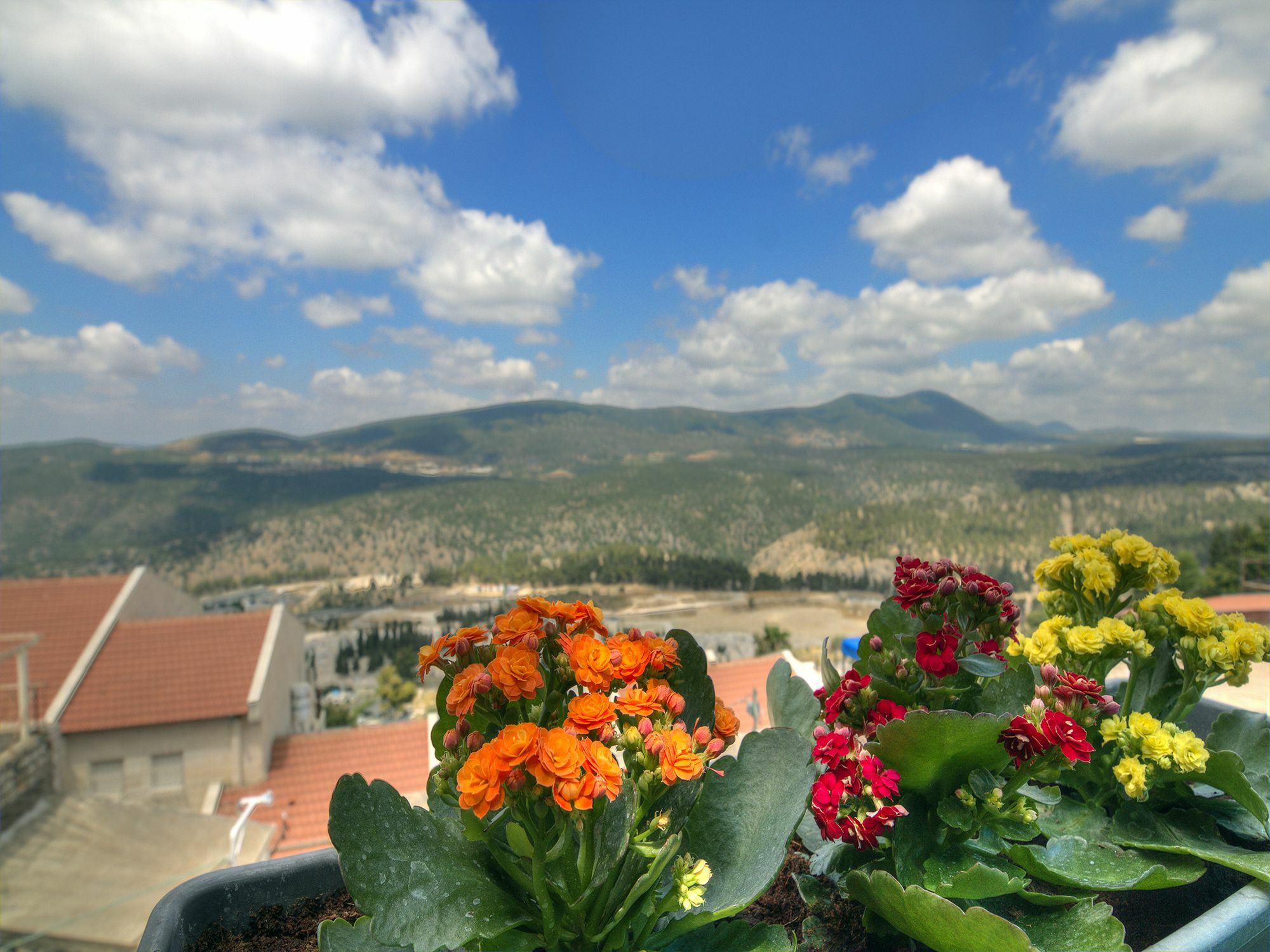 Nofesh Baatika Villa Safed Kültér fotó
